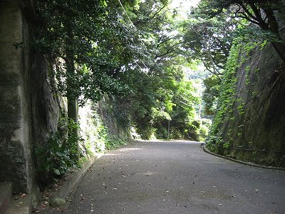 緑の坂道