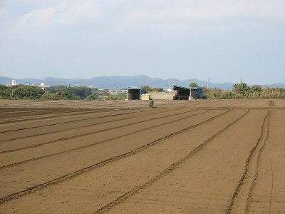 畑と小屋