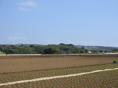 畑と丘