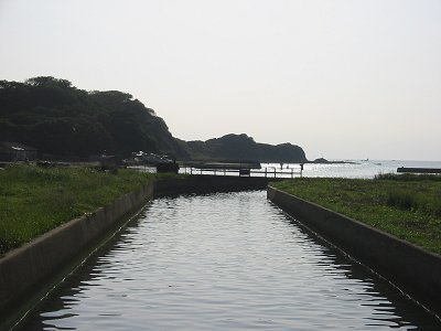 入江の川