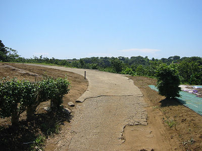 畑の道2